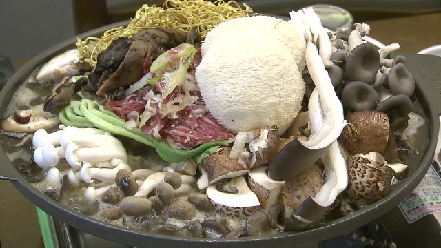 버섯 신품종 개발, 로열티 부담 줄인다 / YTN