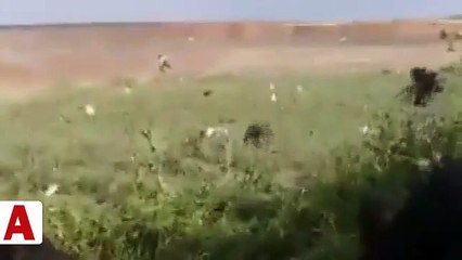 İsrail askerlerinin silahsız bir Filistinliye infazı kameraya yakalandı