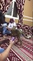 Arab Friends and Pet Cheetah in Dubai United Arab Emirates.