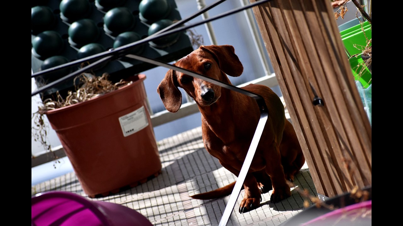 Photo #4 Première Time-Laps