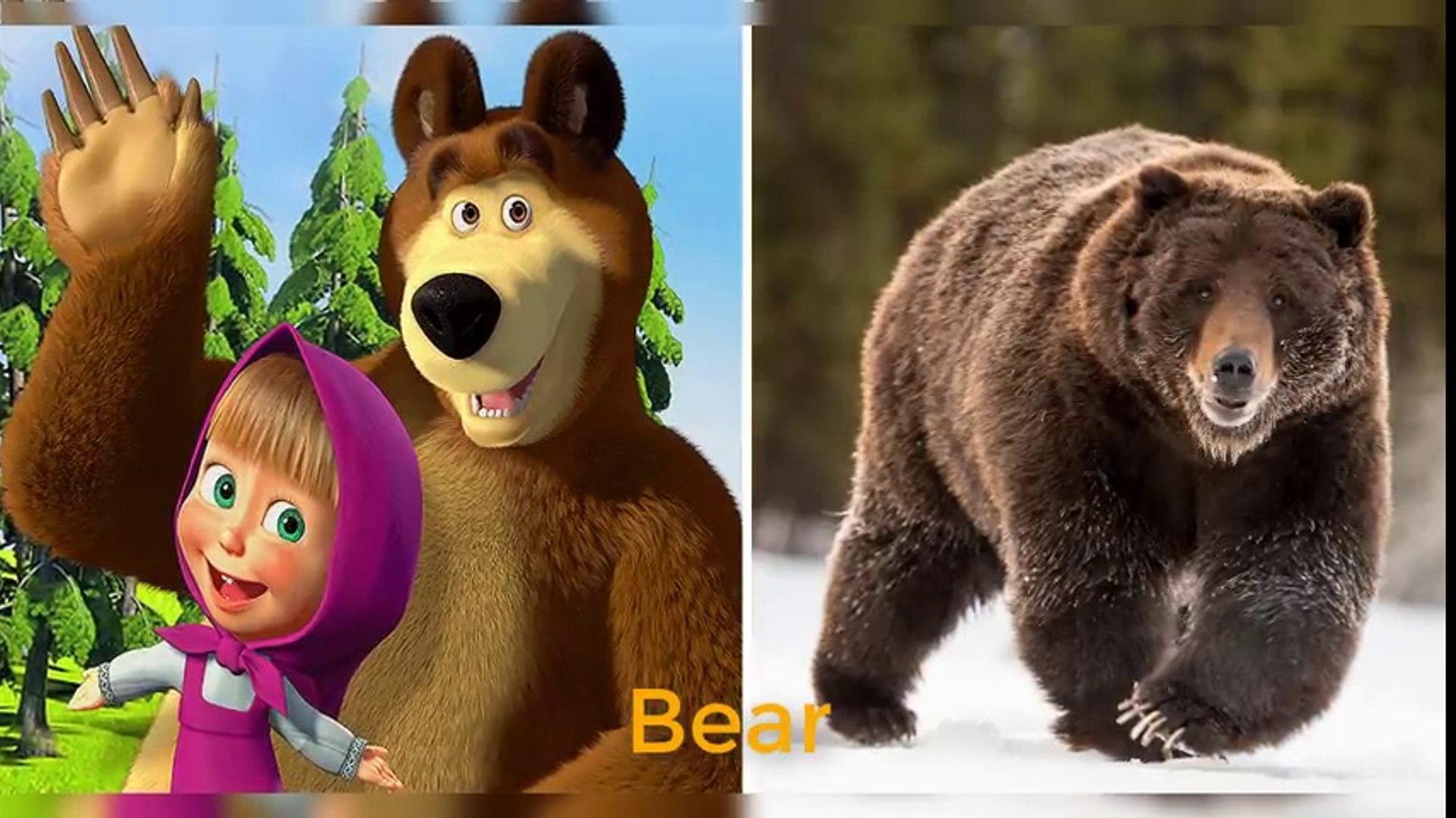 Masha And The Bear Characters In Real Life All Characters 2018 - video  Dailymotion