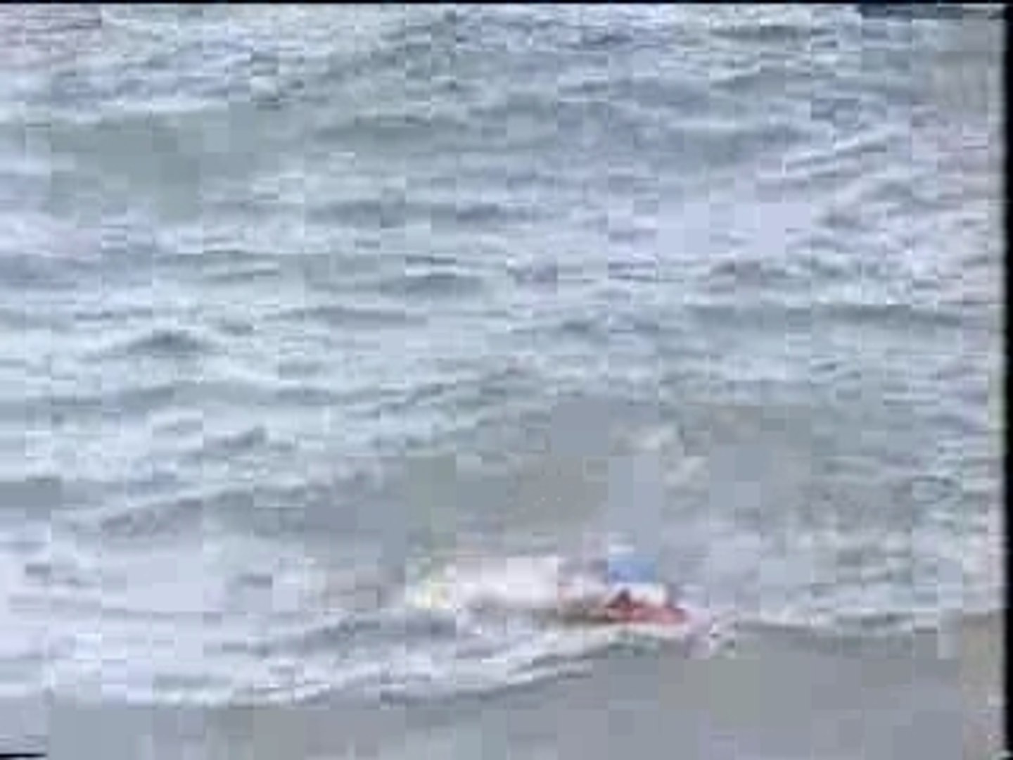 ドーバー海峡横断部 三浦遠泳大会 2 Video Dailymotion
