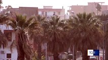 Forte vento, strage di alberi in Puglia. Lampione cade su automobili