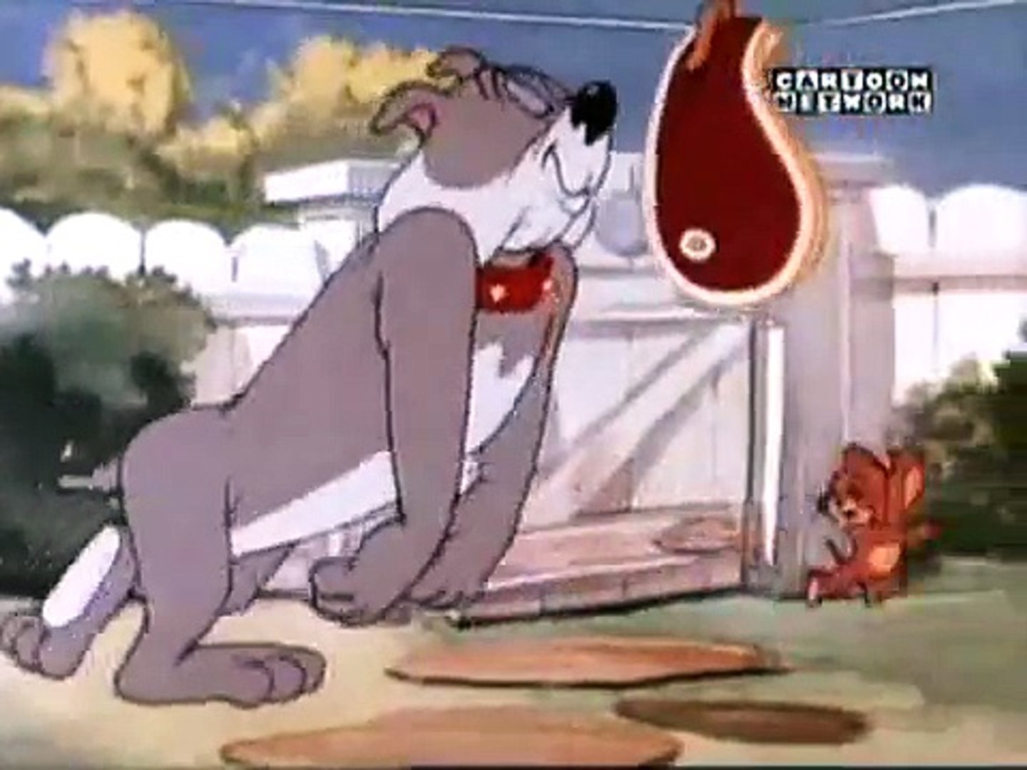 Tom and jerry discount full episodes in tamil