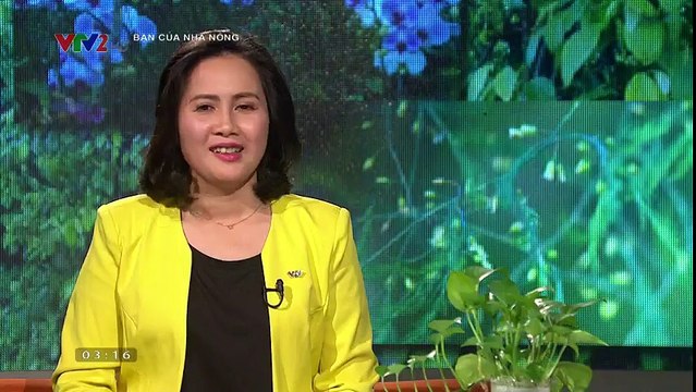 Bạn của Nhà nông ngày 07/1/2018: Sản xuất cam an toàn tại Cao Phong; Kỹ thuật chăm sóc và thu hoạch bưởi ngọt; Chăm sóc và phòng trị bệnh cho cá tra giai đoạn chuyển mùa