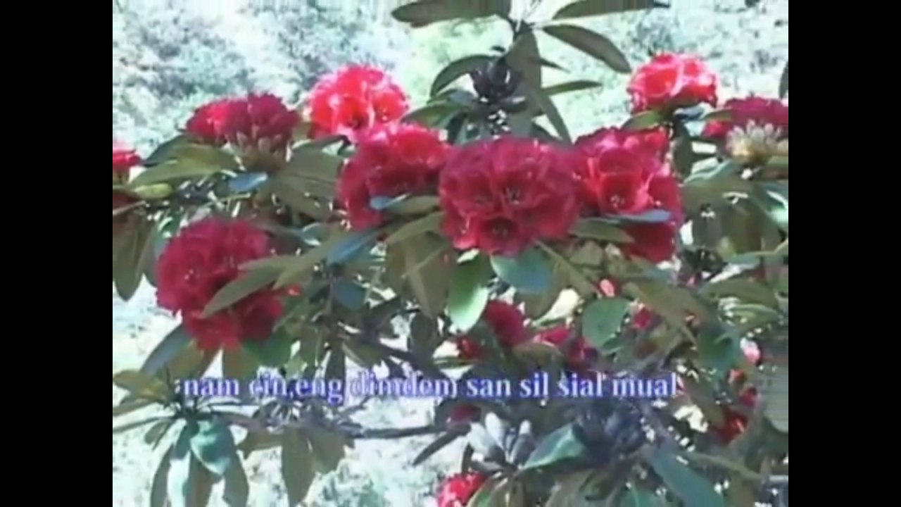 [ Zamthuam ] Pianna Zogam