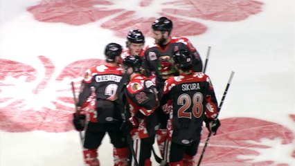 AHL San Jose Barracuda 3 at Rockford IceHogs 5