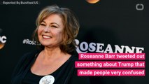 Roseanne Barr Cites Right-Wing Conspiracy Theory In Tweet