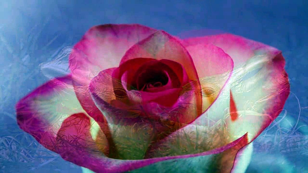  Frohe Ostern  Ostertage  Osterhase Für die beste Mutter der Welt Ein schönes, frohes Osterfest