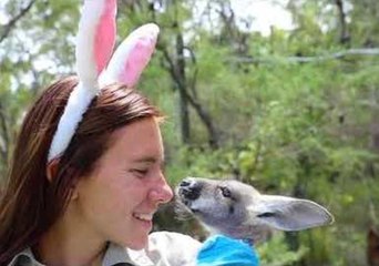 Cute Aussie Animals Enjoy Easter Treats
