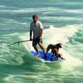 a man boat surfing with two  trained dogs