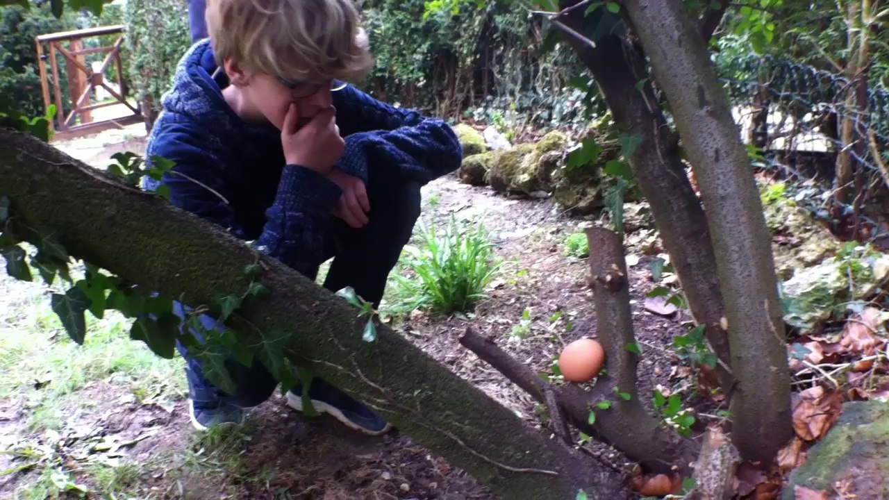 Le mistere de l'oeuf