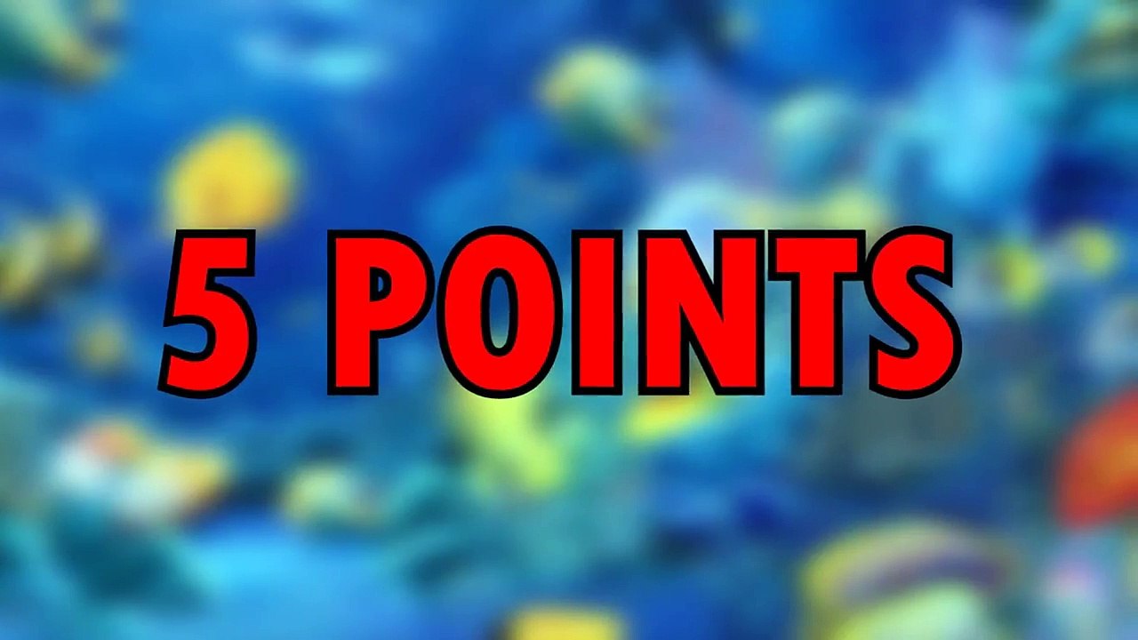 LA VIDÉO DU PRANK - TIM