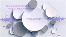 Haroon Bacha - Da Zulfo Sori Ta (Official) - Heele