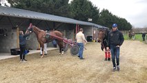 Première réunion des courses hippiques de Fougères- 1er  avril 2018