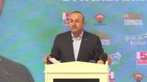 Dışişleri Bakanı Çavuşoğlu - Diyarbakır 5. Olağan Gençlik Kolları Olağan Kongresi(4)