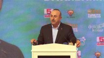 Dışişleri Bakanı Çavuşoğlu: 'Başkalarınıı gelip burada ahkam kesmesini sınırlar biçmesini istemiyoruz' - DİYARBAKIR