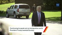 Trump Lashes Out Over Border Security, Immigration: 'NO MORE DACA DEAL!'