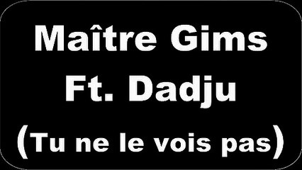Maître Gims - Tu ne le vois pas (parole)