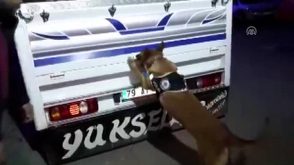 Uyuşturucu operasyonu - ŞANLIURFA