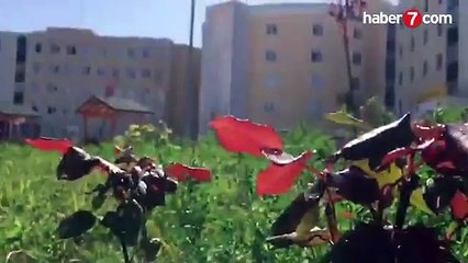 İmam Hatip Lisesi öğrencileri'nden Erdoğan'a klip: Çayımızı koyduk bekliyoruz...