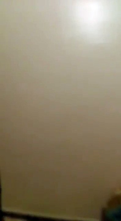 Le Chardonneret Toujours le Meilleur