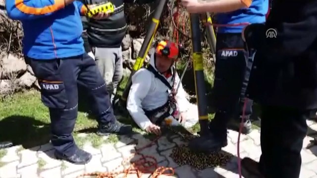 Kuyuya düşen köpeği AFAD kurtardı - NİĞDE