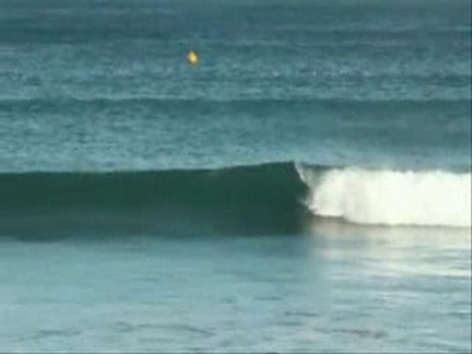 longboard decembre 2007