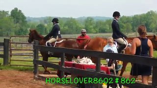 My first Horse Show of the season. 05 16 new