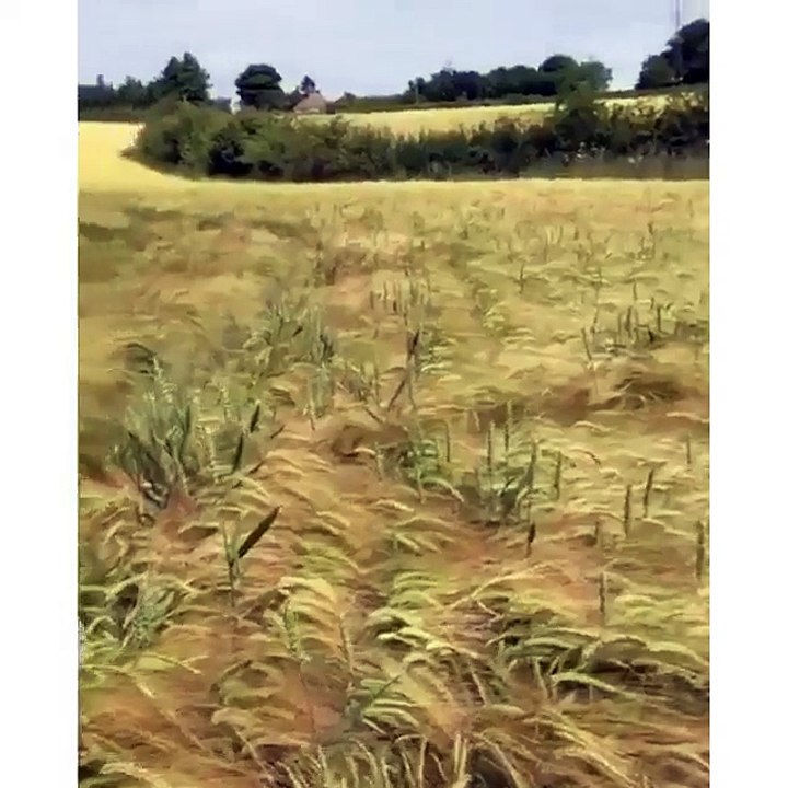 Do you see him???