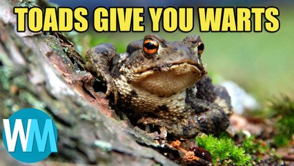 Top 10 Things You Have Been Told That Turned Out To Be Wrong