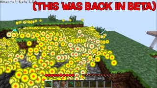5 Minecraft Things You Didnt Know About Experience