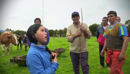 Lugares que Hablan 2018 -De caleta Huequi hasta el Parque Pumalín_clip2