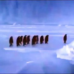 Don't watch too funny