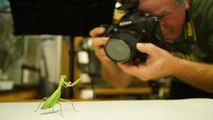 WATCH | RARE: CREATURES OF THE PHOTO ARK (2017) | FULL - M'O'V'I'E | ONLINE | H'D