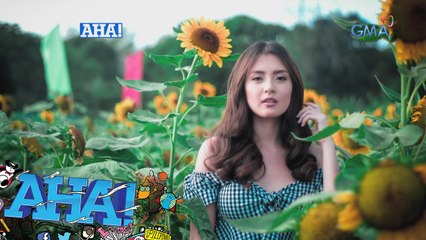 AHA!: Sunflower Maze adventure with Arra San Agustin
