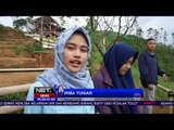Panorama Kebun Teh Pangalengan Kabupaten Bandung - NET 24