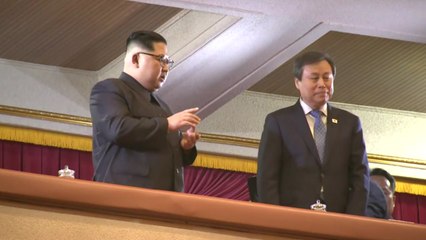 김정은, 평양공연 깜짝 관람 "가을엔 서울 공연하자" / YTN