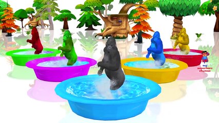 Popular Animal Sounds and Howls for Kids