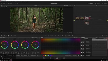 Dreamy Forest Look - Davinci Resolve 12 Tutorial