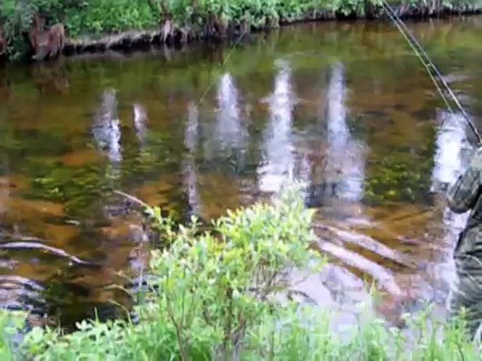 Ловля хариуса на лесной реке