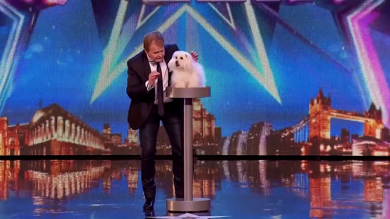 ANIMALS GOT TALENT! Intelligent Animals From Around The World! | Top Talent