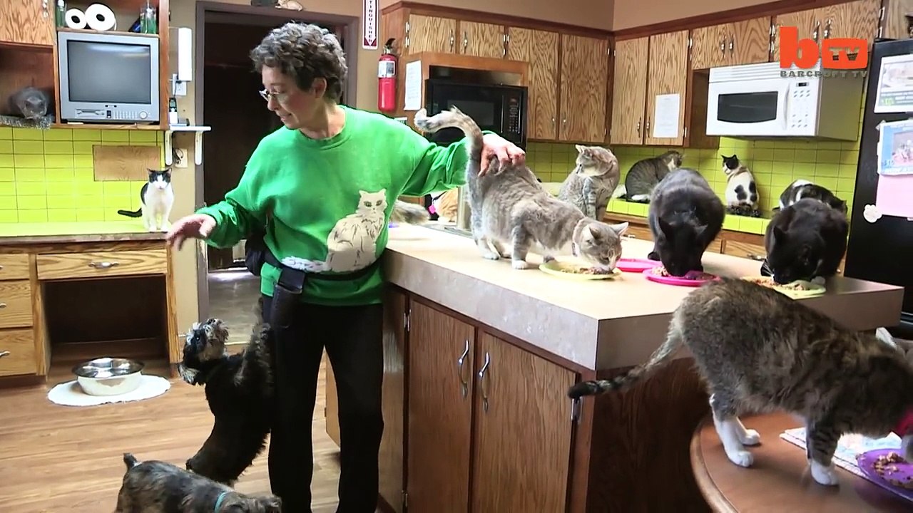 Ultimate Cat Lady_ Woman Shares Her Home With 1,100 Felines