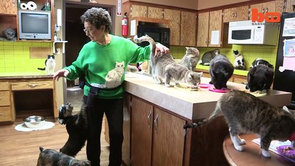 Ultimate Cat Lady_ Woman Shares Her Home With 1,100 Felines