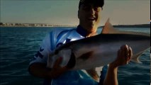 Kıyıdan Jigle 5 kg'lik Liça Avı ( Leerfish On Shore Jigging ) | Kalkan kardeşler jigging videoları