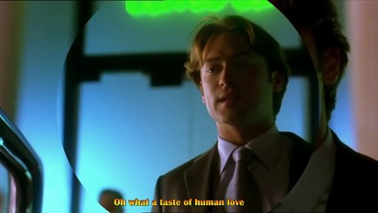 Willie Nelson - She Is Gone - Lyrics