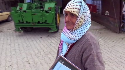 Okul hayaline 81 yaşında kavuştu - AYDIN