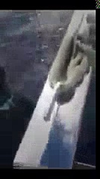 KARNINDAN YAKALANAN AVCI BALIK - (KUZU) | Kalkan kardeşler jigging videoları