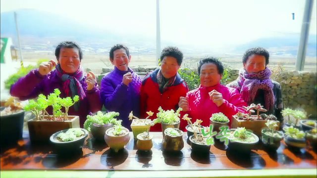 한국기행 - Korea travel_남쪽으로 튀어 1부 그 섬에 봄이 오면_#001