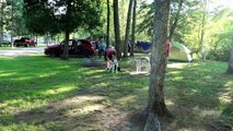 CAMPING WITH SEVEN DOGS | Five Huskies and Two Honorary Huskies Day 1 & 2